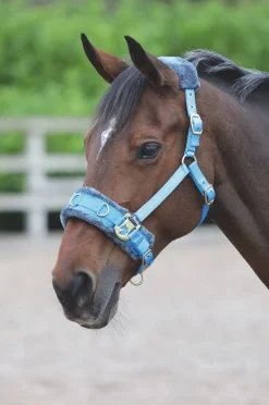 Fleece Lined Lunge Cavesson^Shires Equestrian Online