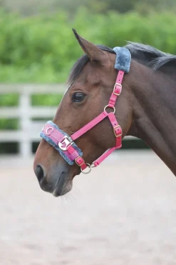 Fleece Lined Lunge Cavesson^Shires Equestrian Online