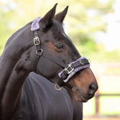 Fleece Lined Lunge Cavesson^Shires Equestrian Online