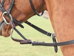 Flexi Rein®^Shires Equestrian