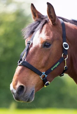 Greenguard Headcollar^Shires Equestrian Hot