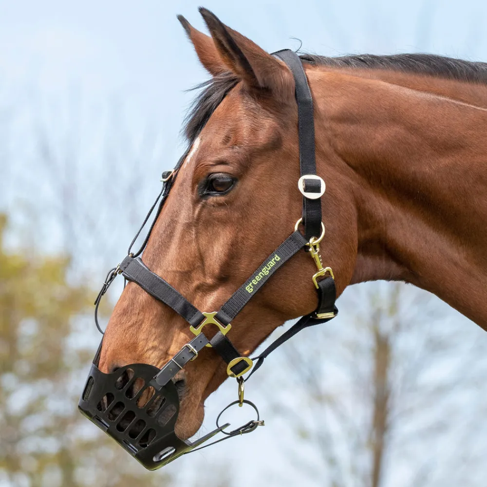 Greenguard Muzzle^Shires Equestrian Online