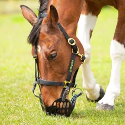 Greenguard Muzzle^Shires Equestrian Online