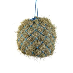 Haynet^Shires Equestrian New