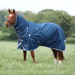 Highlander Original 50 Combo Turnout Rug^Shires Equestrian Online