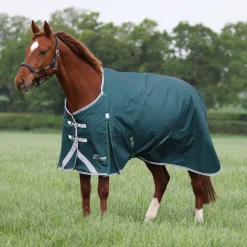Highlander Original 300 Turnout Rug^Shires Equestrian New