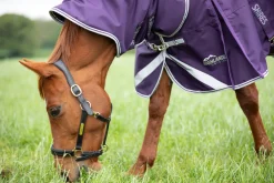 Highlander Original 100 Turnout Rug & Neck Set^Shires Equestrian Discount