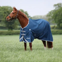 Highlander Original 50 Turnout Rug^Shires Equestrian Clearance