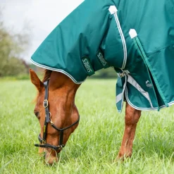 Highlander Original 300 Turnout Combo Rug^Shires Equestrian Best