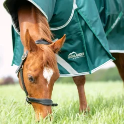 Highlander Original 300 Turnout Rug & Neck Set^Shires Equestrian