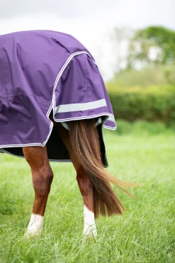 Highlander Original 100 Turnout Rug^Shires Equestrian Best