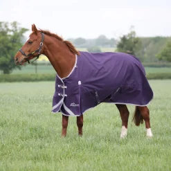 Highlander Original 100 Turnout Rug^Shires Equestrian Best