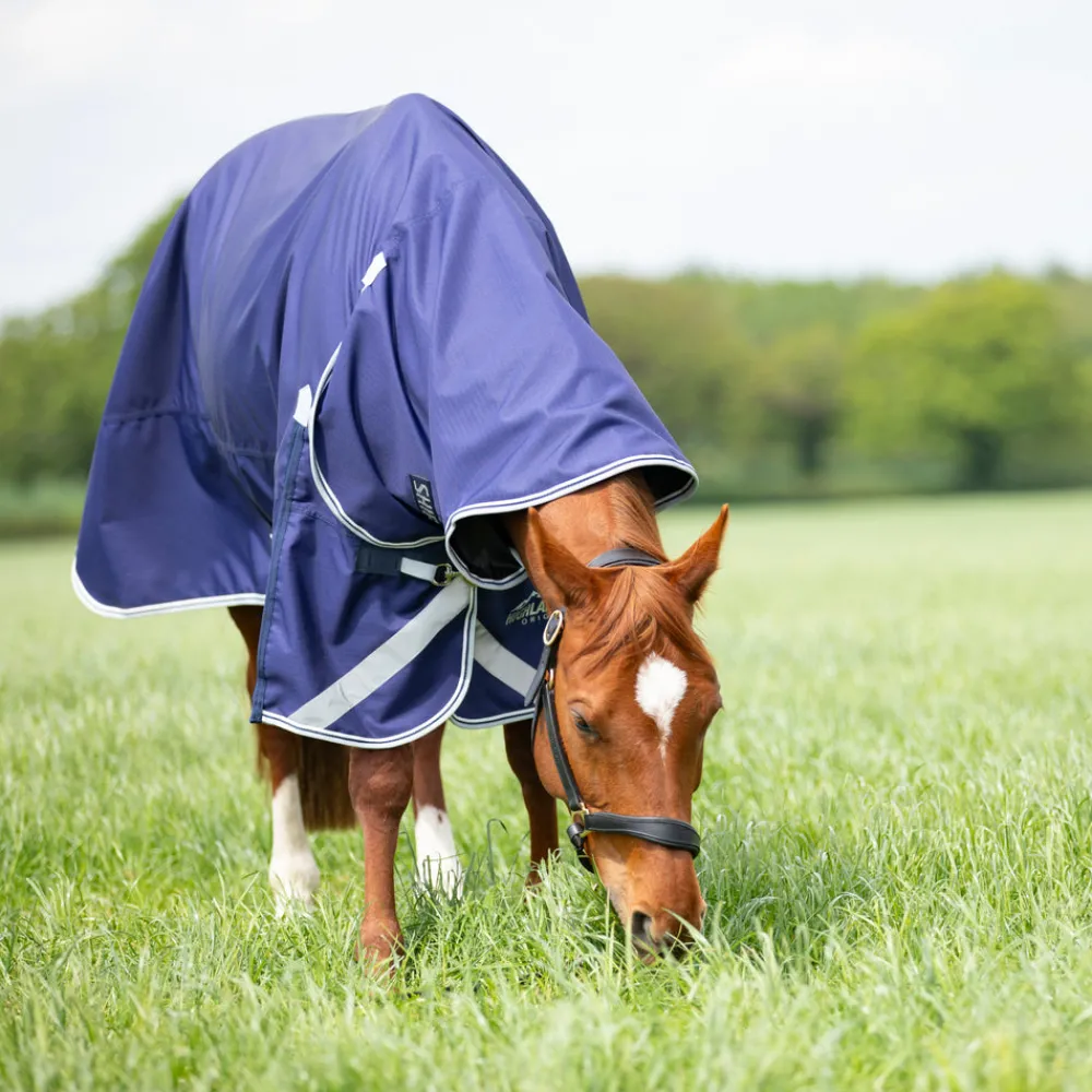 Highlander Original Lite Turnout Combo^Shires Equestrian