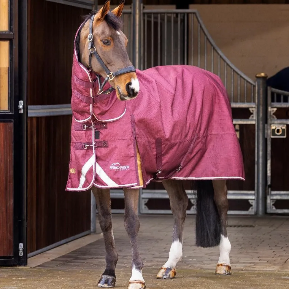 Highlander Plus 100 Combo Turnout Rug^Shires Equestrian Sale