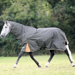 Highlander Plus 50 Combo Turnout Rug^Shires Equestrian