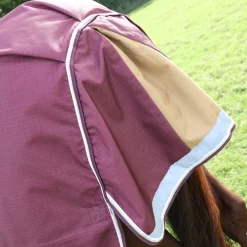 Highlander Plus 100 Turnout Rug^Shires Equestrian Best