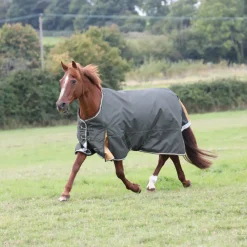 Highlander Plus 50 Turnout Rug^Shires Equestrian Best
