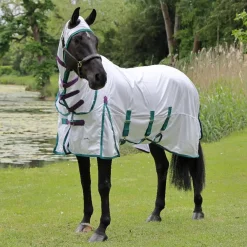 Highlander Plus Fly Sheet Combo Rug^Shires Equestrian Clearance