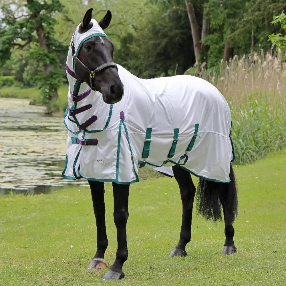 Highlander Plus Fly Sheet Combo Rug^Shires Equestrian Clearance