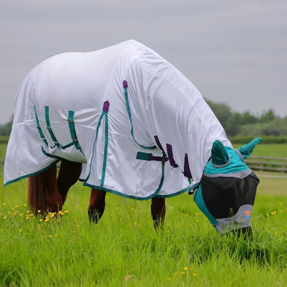 Highlander Plus Fly Sheet Combo Rug^Shires Equestrian Clearance