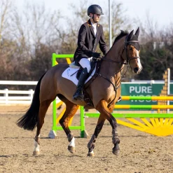 Karben Avena Original Riding Hat^Shires Equestrian Hot