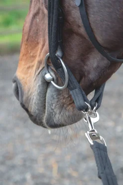 Lunging Adapter^Shires Equestrian Discount