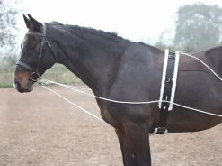 Lunging Aid^Shires Equestrian Clearance