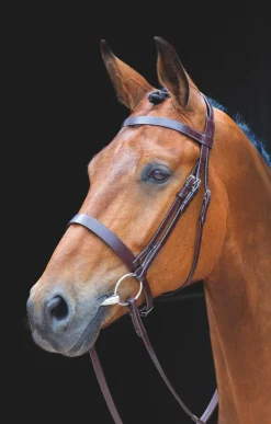 Salisbury Berrington Bridle^Shires Equestrian Best