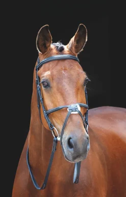 Salisbury Brackley Bridle^Shires Equestrian Discount