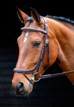 Salisbury Buckingham Bridle^Shires Equestrian Best