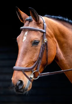 Salisbury Buckingham Bridle^Shires Equestrian Best