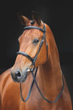 Salisbury Fairford Bridle^Shires Equestrian Outlet