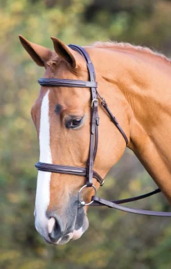 Salisbury Fairford Bridle^Shires Equestrian Outlet