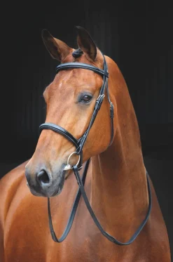 Salisbury Fairford Bridle^Shires Equestrian Outlet