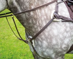 Salisbury Five Point Breastplate^Shires Equestrian Best