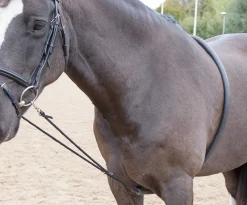 Soft Lunging Aid^Shires Equestrian Discount