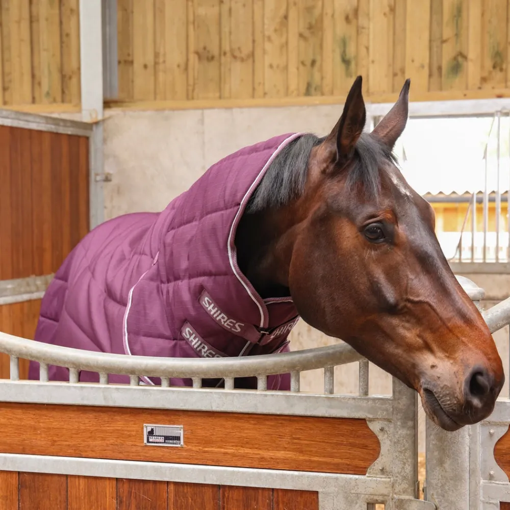 Tempest Original 300 Combo Stable Rug^Shires Equestrian Online