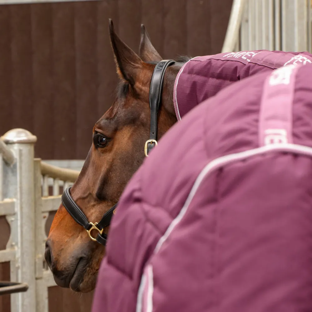 Tempest Original 300 Combo Stable Rug^Shires Equestrian Online