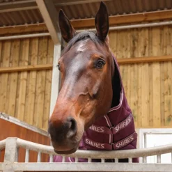 Tempest Original 300 Combo Stable Rug^Shires Equestrian Online