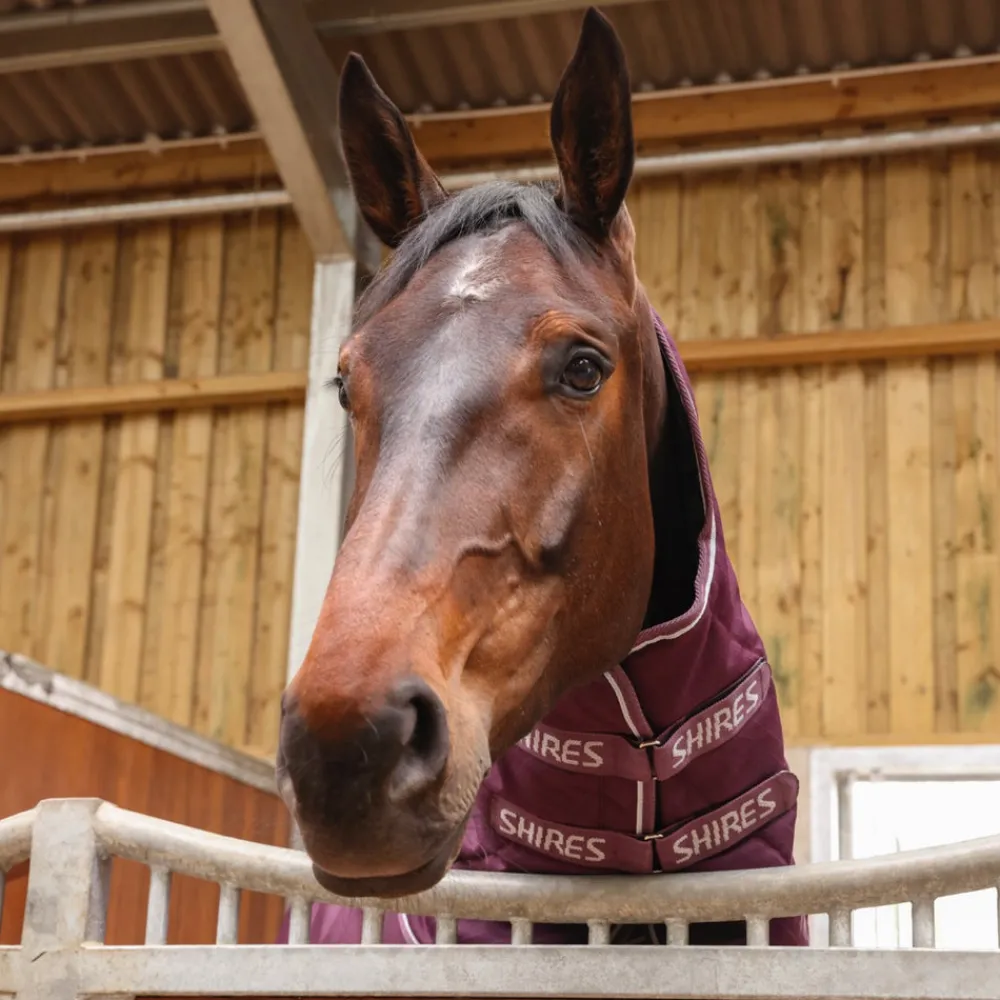 Tempest Original 300 Combo Stable Rug^Shires Equestrian Online