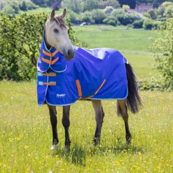 Tempest Original 50 Combo Turnout Rug^Shires Equestrian