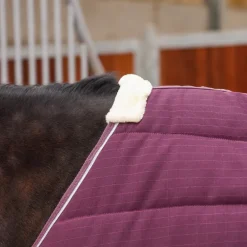 Tempest Original 300 Stable Rug^Shires Equestrian Clearance