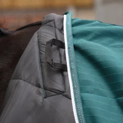 Tempest Original 200 Stable Rug^Shires Equestrian Clearance