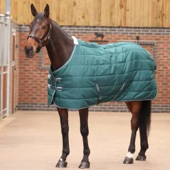 Tempest Original 200 Stable Rug^Shires Equestrian Clearance