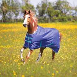 Tempest Original 100 Turnout Rug^Shires Equestrian Outlet