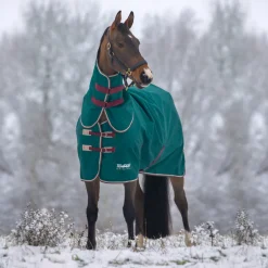 Tempest Original 200 Turnout Rug & Neck^Shires Equestrian Hot
