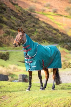 Tempest Original 200 Turnout Rug & Neck^Shires Equestrian Hot