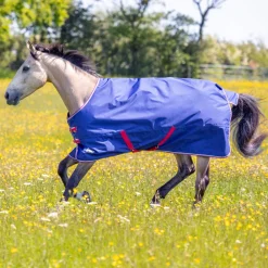 Tempest Original 100 Turnout Rug & Neck^Shires Equestrian Online