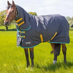 Tempest Original 300 Turnout Combo Rug^Shires Equestrian Online