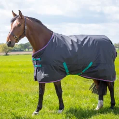 Tempest Original 300 Turnout Rug^Shires Equestrian Hot